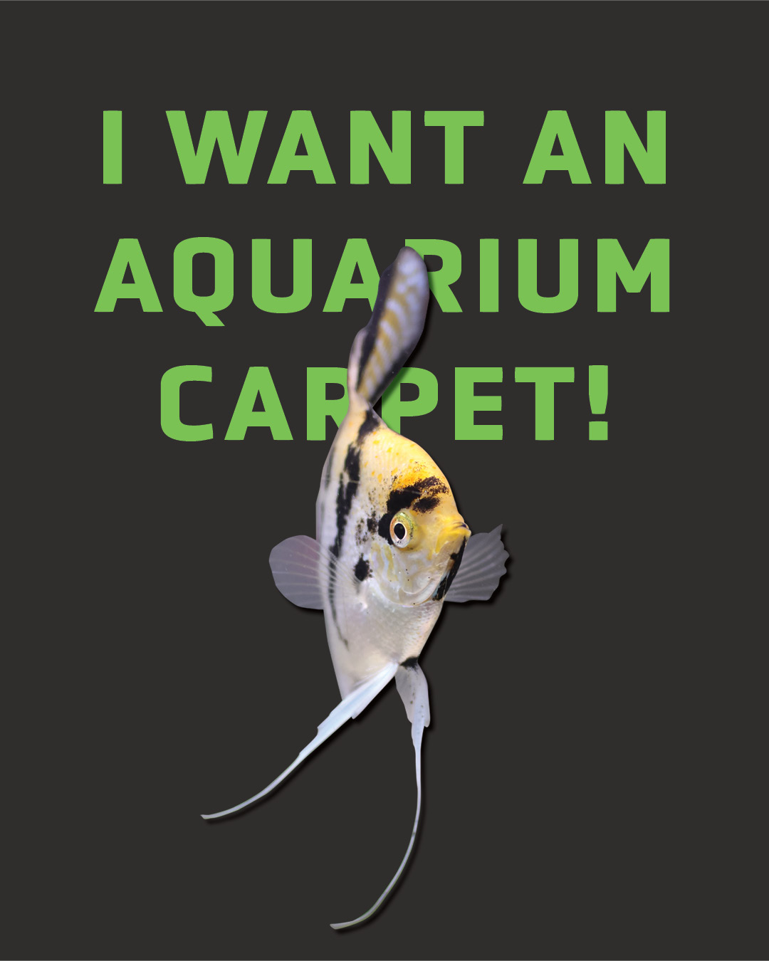 AQUARIUM CARPET